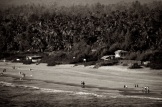 Gokarn Beach and palm trees