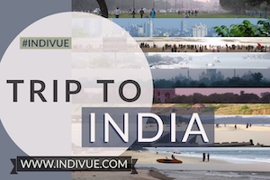mini button image for Trip to India
